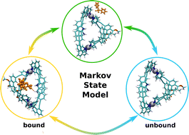 Graphical abstract: Dynamics of organophosphate guest encapsulation in heteroleptic coordination cages