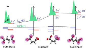 Graphical abstract: Electronic structure, bonding and stability of fumarate, maleate, and succinate dianions from X-ray spectroscopy
