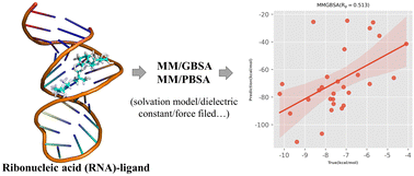 Graphical abstract: Assessing the performance of MM/PBSA and MM/GBSA methods. 10. Prediction reliability of binding affinities and binding poses for RNA–ligand complexes