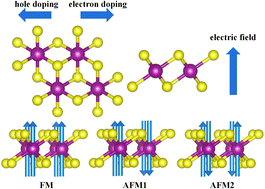 Graphical abstract: Charge doping and electric field tunable ferromagnetism and Curie temperature of the MnS2 monolayer