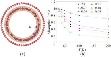 Graphical abstract: The curvature effect on the distribution behavior of nonpolar atoms in nano-confined space