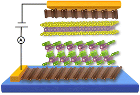 Graphical abstract: The tunneling electroresistance effect in a van der Waals ferroelectric tunnel junction based on a graphene/In2Se3/MoS2/graphene heterostructure
