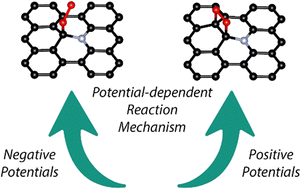 Graphical abstract: Revision of the oxygen reduction reaction on N-doped graphenes by grand-canonical DFT