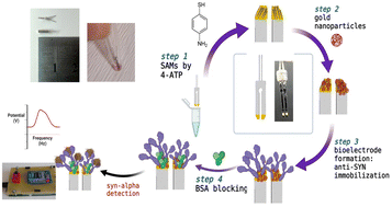 Graphical abstract: An innovative method for the detection of alpha synuclein, a potential biomarker of Parkinson's disease: quartz tuning fork-based mass sensitive immunosensor design