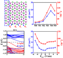 Graphical abstract: Inducing abundant magnetic phases and enhancing magnetic stability by edge modifications and physical regulations for NiI2 nanoribbons