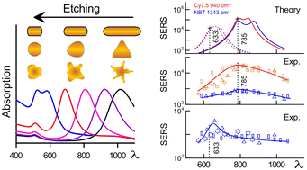 Graphical abstract: Surface-enhanced Raman scattering from Au nanorods, nanotriangles, and nanostars with tuned plasmon resonances