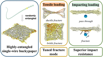 Graphical abstract: A single carbon nanotube-entangled high-performance buckypaper with tunable fracture mode