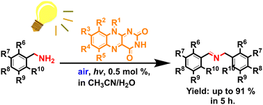 Graphical abstract: Tailoring flavin-based photosensitizers for efficient photooxidative coupling of benzylic amines