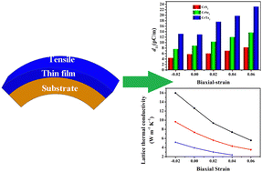 Graphical abstract: Equibiaxial strain regulates the electronic structure and mechanical, piezoelectric, and thermal transport properties of the 2H-phase monolayers CrX2 (X = S, Se, Te)