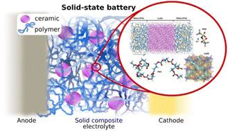 Graphical abstract: The sensitive aspects of modelling polymer–ceramic composite solid-state electrolytes using molecular dynamics simulations