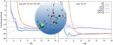 Graphical abstract: New model for aspartic acid species in aqueous calcium carbonate growth environments: challenges and perspectives