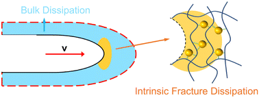 Graphical abstract: Insight into the fracture energy dissipation mechanism in elastomer composites via sacrificial bonds and fillers