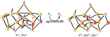 Graphical abstract: The energetics of N2 reduction by vanadium containing nitrogenase