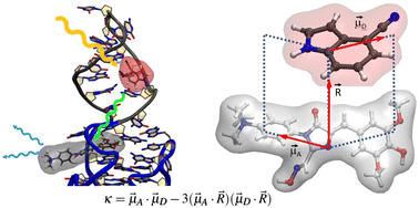 Graphical abstract: Conformational preferences of modified nucleobases in RNA aptamers and their effect on Förster resonant energy transfer