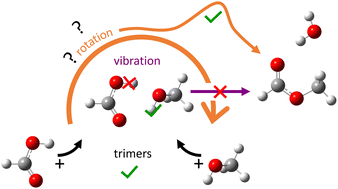 Graphical abstract: Formic acid–methanol complexation vs. esterification: elusive pre-reactive species identified by vibrational spectroscopy