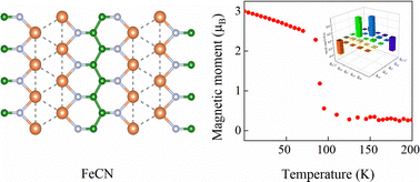 Graphical abstract: 2D antiferromagnetic semiconducting FeCN with interesting properties