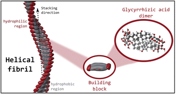 Graphical abstract: Glycyrrhizic acid aggregates seen from a synthetic surfactant perspective