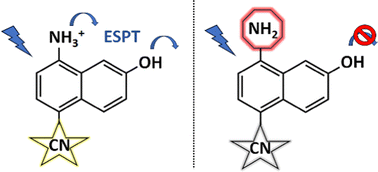 Graphical abstract: Effect of cyano-addition on the photoacidity switch in 5-cyano-8-amino-2-naphthol