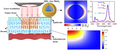 Graphical abstract: Transition metal dichalcogenide coated gold nanoshells for highly effective photothermal therapy
