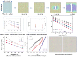 Graphical abstract: Vacancy-mediated inelasticity in two-dimensional vanadium-based dichalcogenides