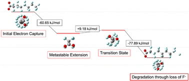 Graphical abstract: The role of helicity in PFAS resistance to degradation: DFT simulation of electron capture and defluorination