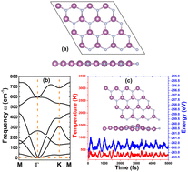 Graphical abstract: Modifying the electronic and magnetic properties of the scandium nitride semiconductor monolayer via vacancies and doping