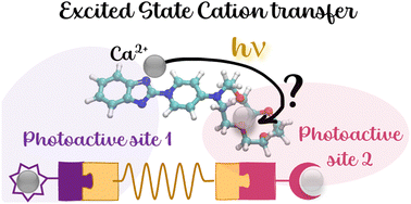 Graphical abstract: In silico strategy to design an efficient organic photoswitch based on excited-state cation transfer