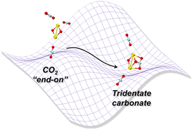 Graphical abstract: Carbon dioxide activation by discandium dioxide cations in the gas phase: a combined investigation of infrared photodissociation spectroscopy and DFT calculations