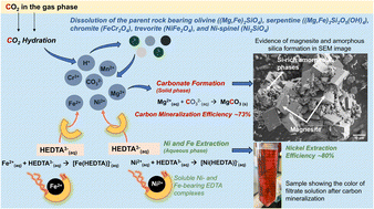 Graphical abstract: Mechanistic insights into the co-recovery of nickel and iron via integrated carbon mineralization of serpentinized peridotite by harnessing organic ligands