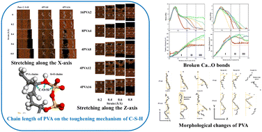 Graphical abstract: The influence of the molecular chain length of PVA on the toughening mechanism of calcium silicate hydrates