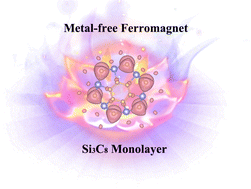 Graphical abstract: A novel 2D intrinsic metal-free ferromagnetic semiconductor Si3C8 monolayer