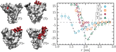 Graphical abstract: Control of polymer–protein interactions by tuning the composition and length of polymer chains