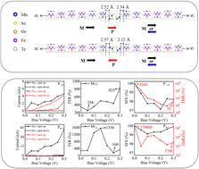 Graphical abstract: Tunable multiple nonvolatile resistance states in a MnSe-based van der Waals multiferroic tunnel junction