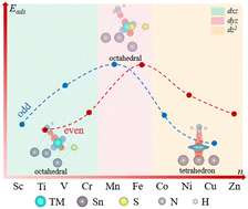 Graphical abstract: How spin state and oxidation number of transition metal atoms determine molecular adsorption: a first-principles case study for NH3
