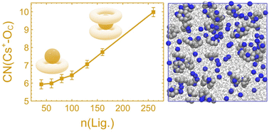 Graphical abstract: Exclusive ion recognition using host–guest sandwich complexes