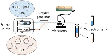 Graphical abstract: Kinetic features of solvent extraction by N,O-donor ligands of f-elements: a comparative study of diamides based on 1,10-phenanthroline and 2,2′-bipyridine