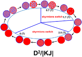 Graphical abstract: Magnetic skyrmions and their manipulations in a 2D multiferroic CuCrP2Te6 monolayer