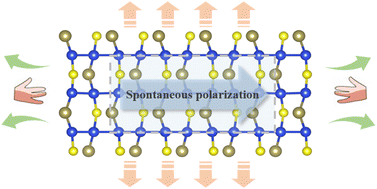 Graphical abstract: First-principles prediction of ferroelectric Janus Si2XY (X/Y = S/Se/Te, X ≠ Y) monolayers with negative Poisson's ratios