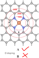 Graphical abstract: The nearby atomic environment effect on an Fe–N–C catalyst for the oxygen reduction reaction: a density functional theory-based study