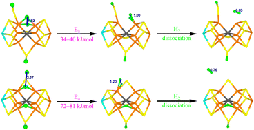 Graphical abstract: H2 formation from the E2–E4 states of nitrogenase