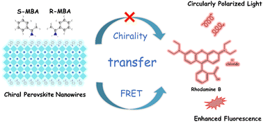 Graphical abstract: Discriminatory fluorescence and FRET in the chiral-perovskite/RhB system