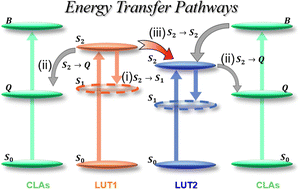 Graphical abstract: Energy transfer from two luteins to chlorophylls in light-harvesting complex II study by using exciton models with phase correction