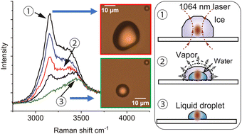 Graphical abstract: Melting of a single ice microparticle on exposure to focused near-IR laser beam to yield a supercooled water droplet