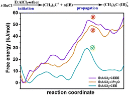 Graphical abstract: A theoretical study of the mechanism of cationic polymerization of isobutylene catalysed by EtAlCl2/t-BuCl with bis(2-chloroethyl)ether in hexanes