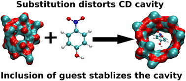 Graphical abstract: The counteracting influence of 2-hydroxypropyl substitution and the presence of a guest molecule on the shape and size of the β-cyclodextrin cavity