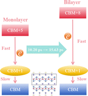 Graphical abstract: Insights into electron dynamics in two-dimensional bismuth oxyselenide: a monolayer-bilayer perspective