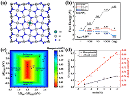 Graphical abstract: Enhanced OER catalytic activity of single metal atoms supported by the pentagonal NiN2 monolayer: insight from density functional theory calculations