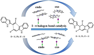 Graphical abstract: Halogen bond catalysis of the [4+2] cycloaddition reaction of 2-alkenylindoles: catalytic modes and stereoselectivity