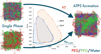 Graphical abstract: Unravelling the molecular interactions behind the formation of PEG/PPG aqueous two-phase systems