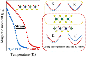 Graphical abstract: High Curie temperature ferromagnetic monolayer T-CrSH and valley physics of T-CrSH/WS2 heterostructure